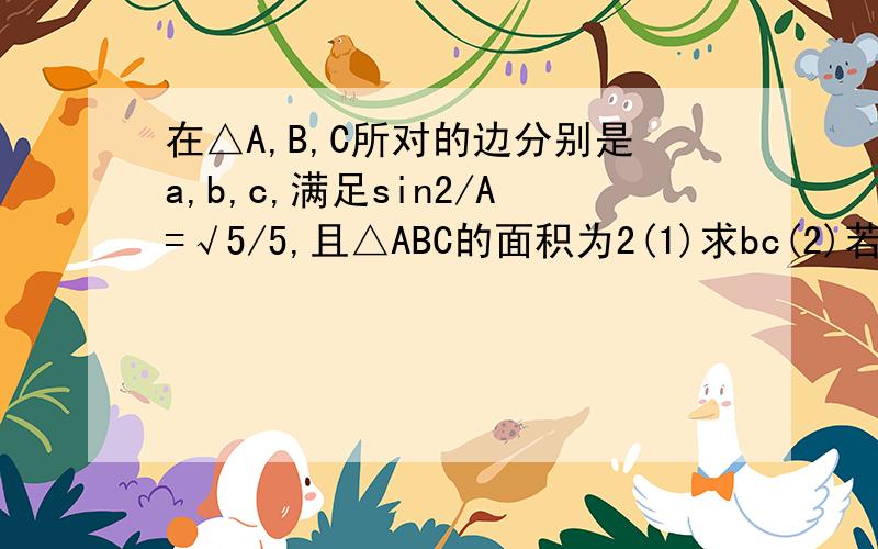 在△A,B,C所对的边分别是a,b,c,满足sin2/A=√5/5,且△ABC的面积为2(1)求bc(2)若b+c=6,求a的值