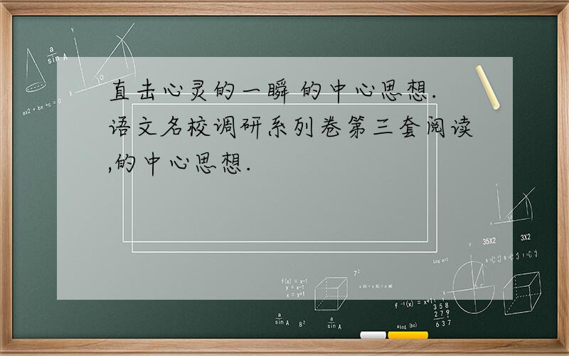 直击心灵的一瞬 的中心思想.语文名校调研系列卷第三套阅读,的中心思想.