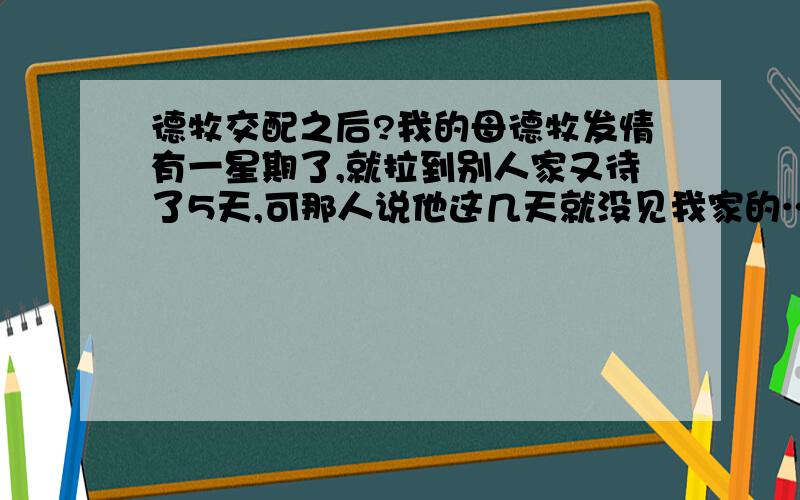 德牧交配之后?我的母德牧发情有一星期了,就拉到别人家又待了5天,可那人说他这几天就没见我家的…和他家的公德牧交配过,怎样确定他们交配上没有啊!母犬交配后会有什么反映没什啊!