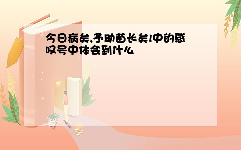 今日病矣,予助苗长矣!中的感叹号中体会到什么