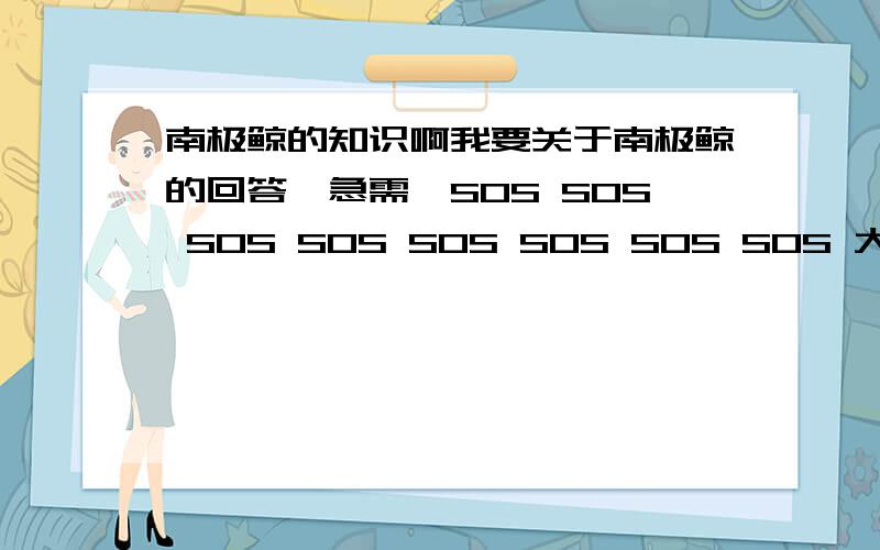 南极鲸的知识啊我要关于南极鲸的回答,急需,SOS SOS SOS SOS SOS SOS SOS SOS 大家帮忙啊!