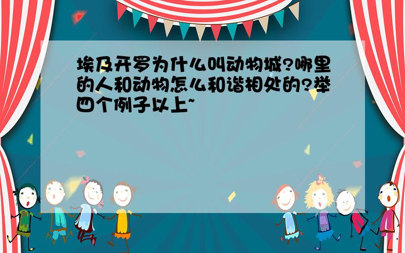 埃及开罗为什么叫动物城?哪里的人和动物怎么和谐相处的?举四个例子以上~