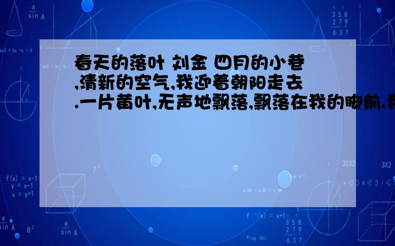 春天的落叶 刘金 四月的小巷,清新的空气,我迎着朝阳走去.一片黄叶,无声地飘落,飘落在我的脚前.我仰面一看,一枝从院墙上欹斜地探身出来的樟树丫枝,已悄悄换上了春天的装束.满枝蓊郁的