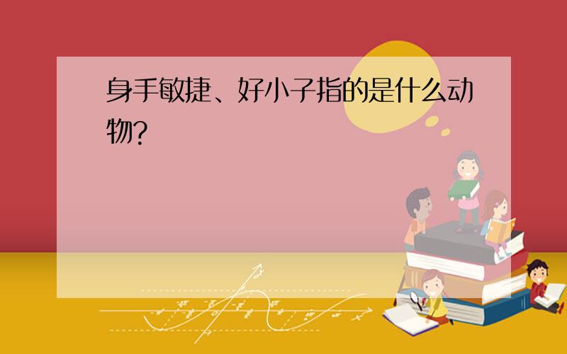 身手敏捷、好小子指的是什么动物?