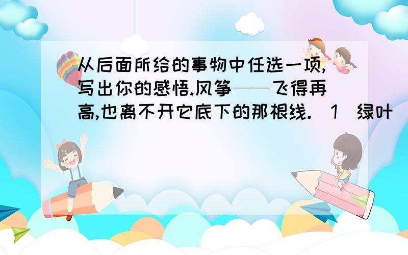 从后面所给的事物中任选一项,写出你的感悟.风筝——飞得再高,也离不开它底下的那根线.（1）绿叶（2）石灰石（3）风雨（4）航船