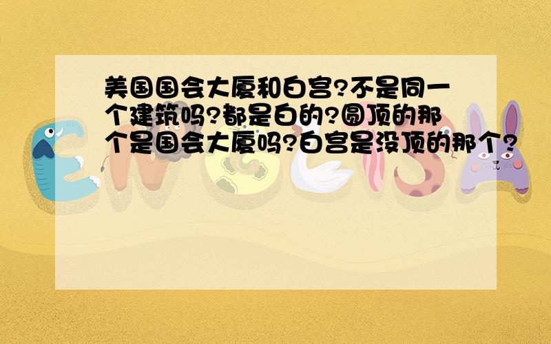 美国国会大厦和白宫?不是同一个建筑吗?都是白的?圆顶的那个是国会大厦吗?白宫是没顶的那个?