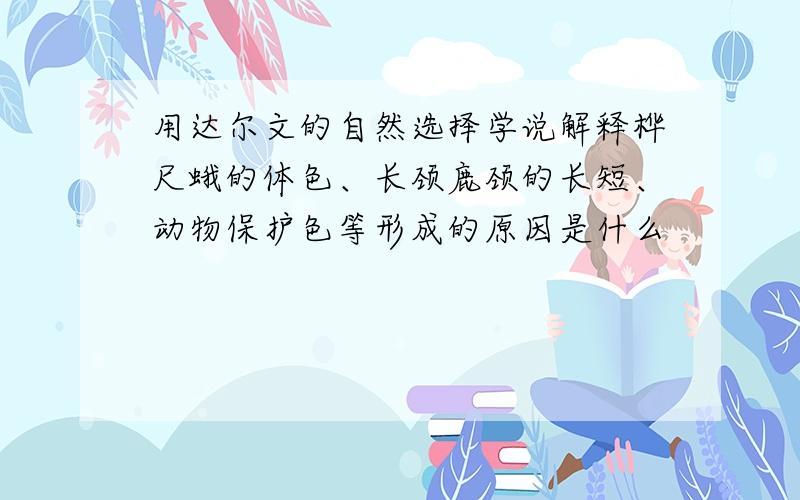 用达尔文的自然选择学说解释桦尺蛾的体色、长颈鹿颈的长短、动物保护色等形成的原因是什么