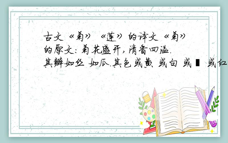 古文《菊》《莲》的译文《菊》的原文：菊花盛开,清香四溢.其瓣如丝 如瓜.其色或黄 或白 或赭 或红,种类繁多.性耐寒,严霜即降,百花零落,惟菊独盛.《莲》的原文是：莲花,亦曰荷花.种于暮