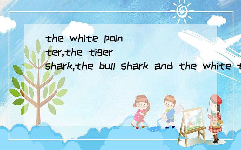 the white pointer,the tiger shark,the bull shark and the white tip