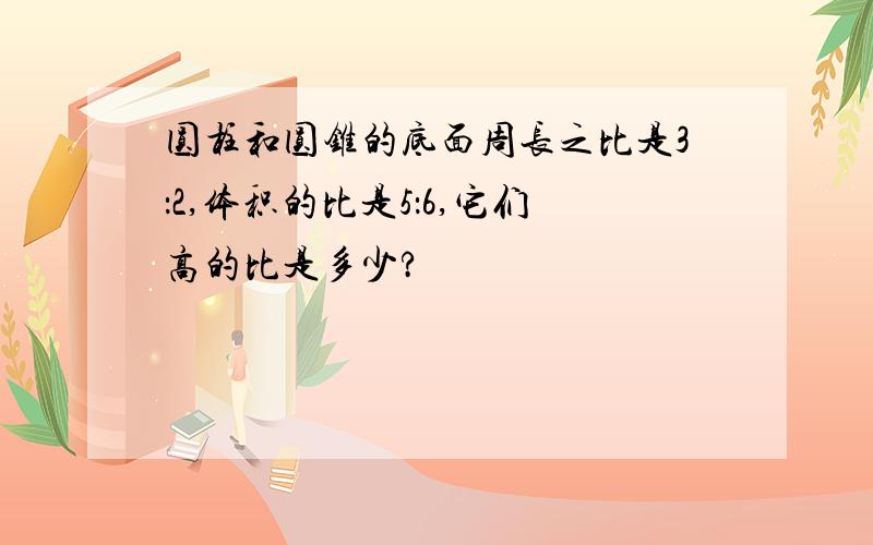 圆柱和圆锥的底面周长之比是3：2,体积的比是5：6,它们高的比是多少?