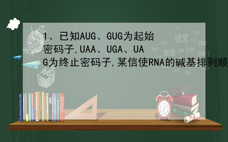 1、已知AUG、GUG为起始密码子,UAA、UGA、UAG为终止密码子,某信使RNA的碱基排列顺序如下：```AUUCGAUGAC-（40个碱基）-CUCUAGAUCU```此信使RNA控制合成的蛋白质中含有氨基酸个数为?2、一段原核生物的mR