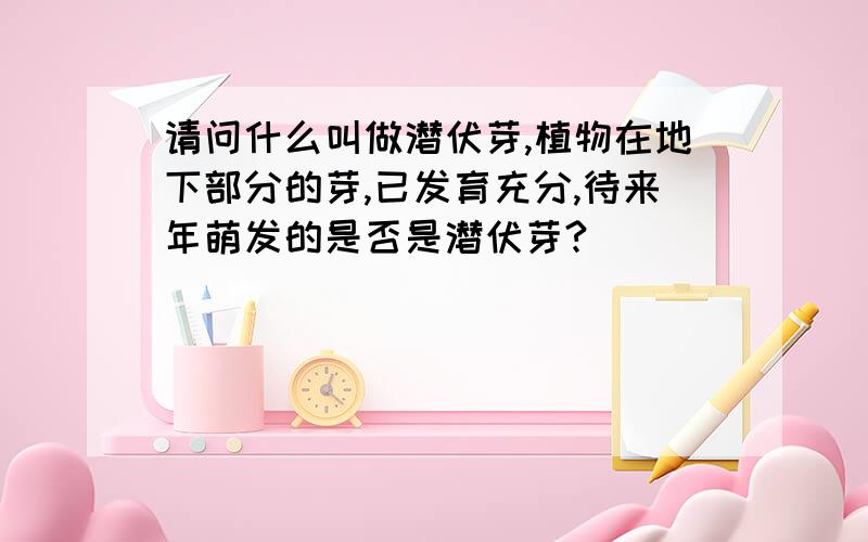 请问什么叫做潜伏芽,植物在地下部分的芽,已发育充分,待来年萌发的是否是潜伏芽?