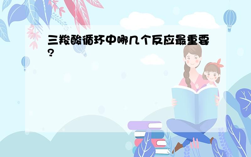 三羧酸循环中哪几个反应最重要?