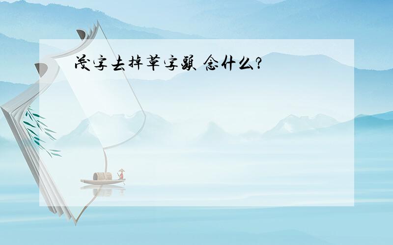 茂字去掉草字头 念什么?