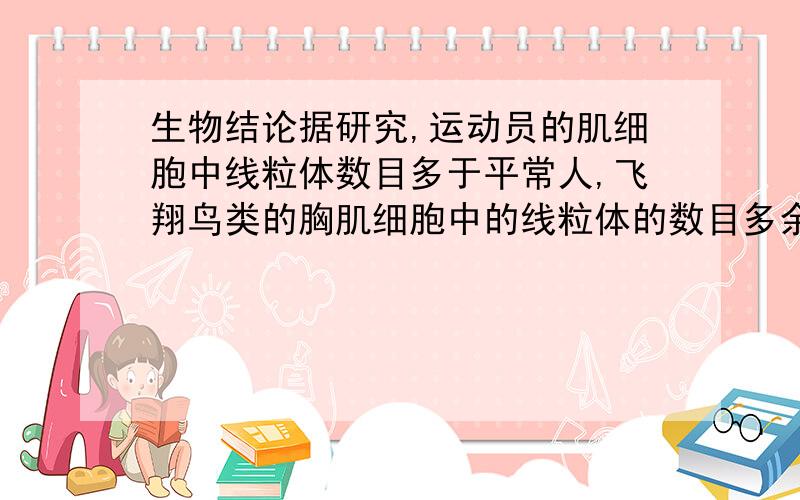 生物结论据研究,运动员的肌细胞中线粒体数目多于平常人,飞翔鸟类的胸肌细胞中的线粒体的数目多余不飞翔鸟类,分泌细胞的线粒体聚集在分泌合成区域,肌细胞的线粒体则沿细胞收缩方向排