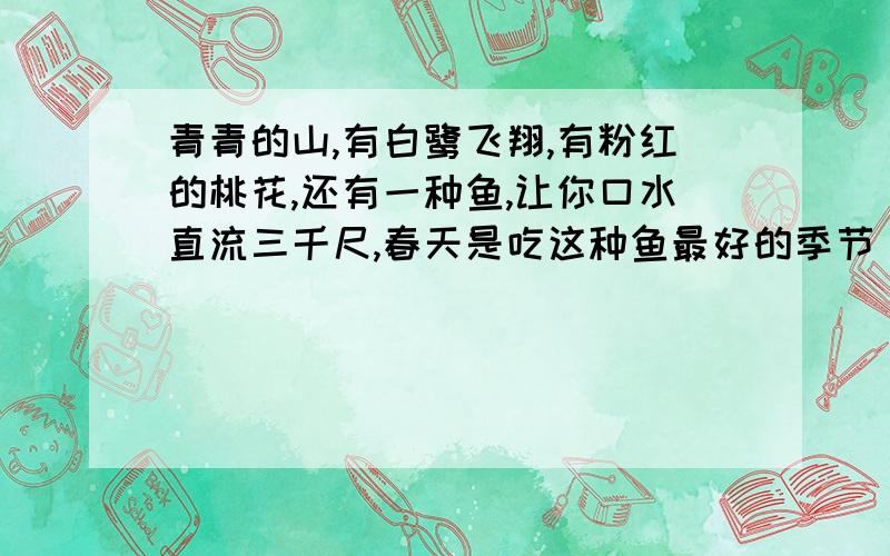 青青的山,有白鹭飞翔,有粉红的桃花,还有一种鱼,让你口水直流三千尺,春天是吃这种鱼最好的季节