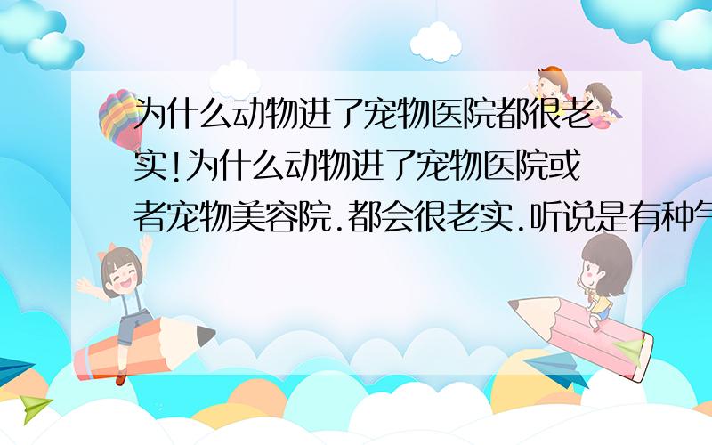 为什么动物进了宠物医院都很老实!为什么动物进了宠物医院或者宠物美容院.都会很老实.听说是有种气味动物闻了就会很害怕是吗?