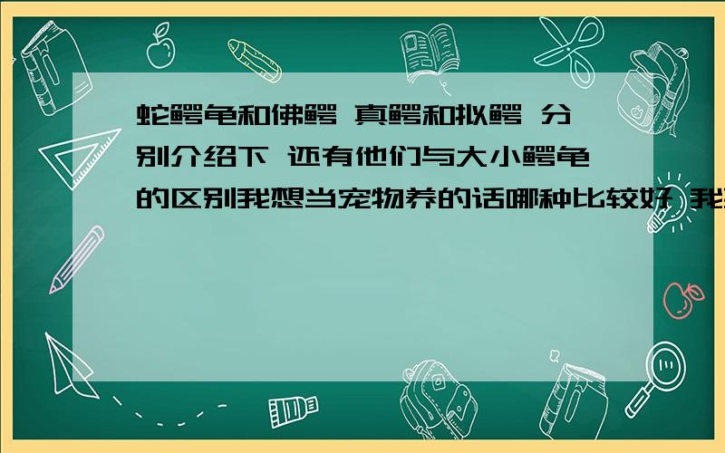 蛇鳄龟和佛鳄 真鳄和拟鳄 分别介绍下 还有他们与大小鳄龟的区别我想当宠物养的话哪种比较好 我要比较凶 样子比较帅的 还有我是新手