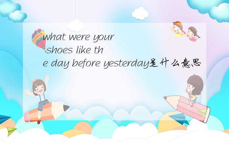 what were your shoes like the day before yesterday是什么意思