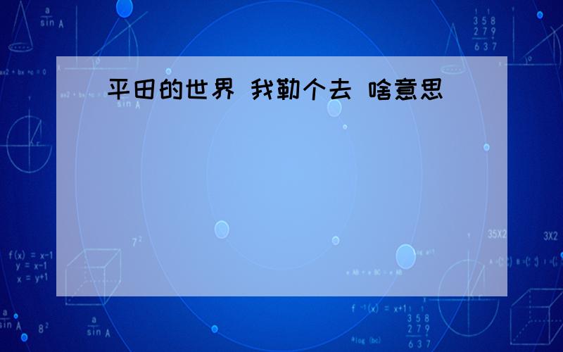 平田的世界 我勒个去 啥意思