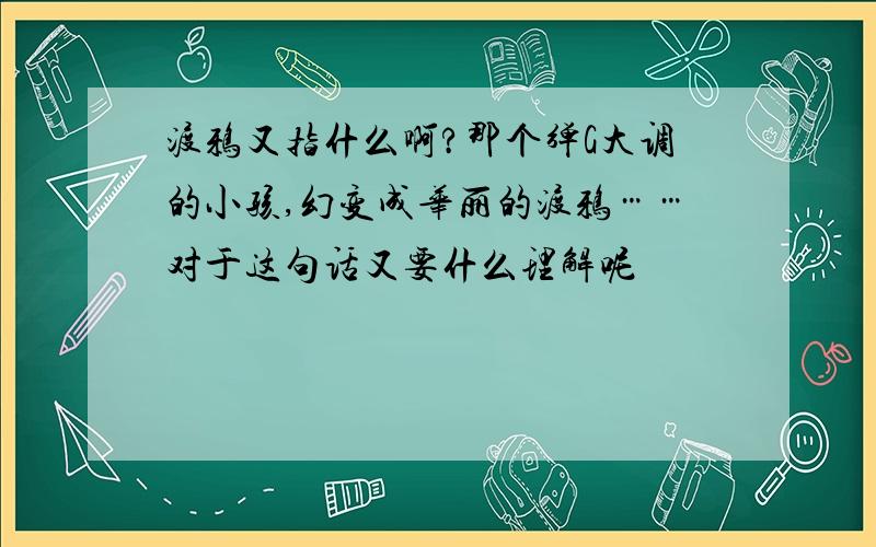 渡鸦又指什么啊?那个弹G大调的小孩,幻变成华丽的渡鸦……对于这句话又要什么理解呢