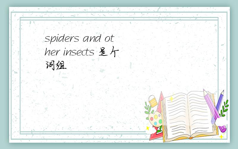 spiders and other insects 是个词组