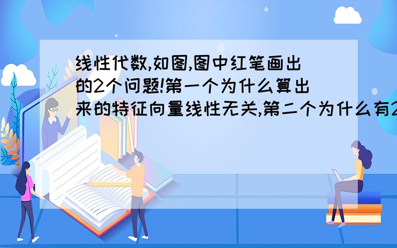 线性代数,如图,图中红笔画出的2个问题!第一个为什么算出来的特征向量线性无关,第二个为什么有2个解就是秩为1?