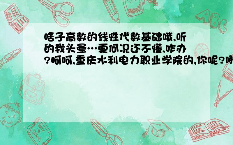 啥子高数的线性代数基础哦,听的我头晕…更何况还不懂,咋办?呵呵,重庆水利电力职业学院的,你呢?哪个学院呢?你是怎么学高数的嘛?