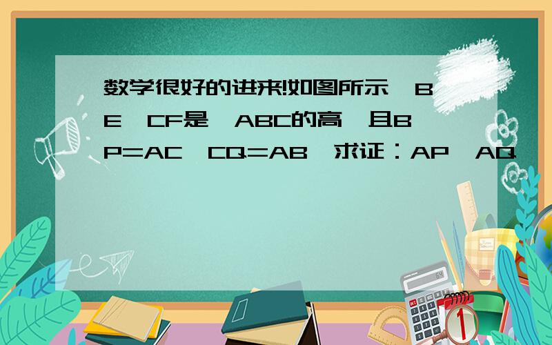 数学很好的进来!如图所示,BE,CF是△ABC的高,且BP=AC,CQ=AB,求证：AP⊥AQ