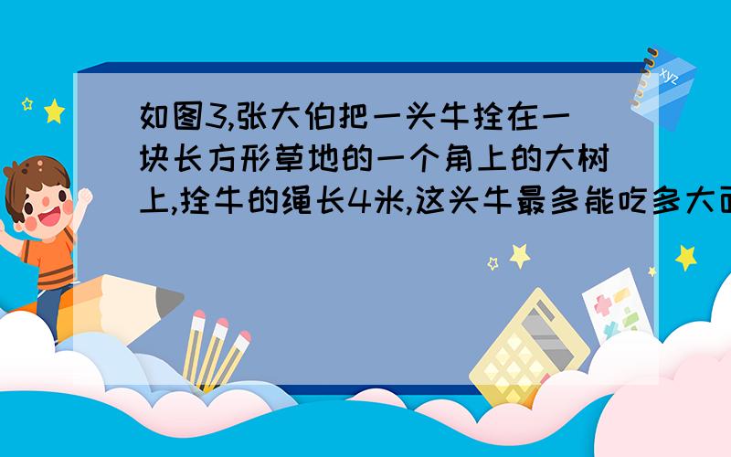 如图3,张大伯把一头牛拴在一块长方形草地的一个角上的大树上,拴牛的绳长4米,这头牛最多能吃多大面积草拴牛的绳长是4米,那么,4米代表的是四分之一圆的半径还是直径?