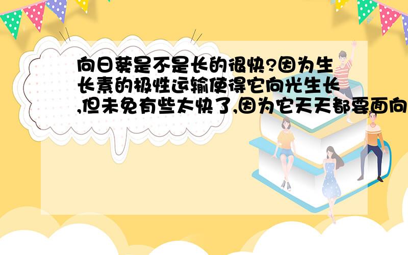 向日葵是不是长的很快?因为生长素的极性运输使得它向光生长,但未免有些太快了,因为它天天都要面向太阳,旋转180度左右,这不就意味着它的生长很快吗?