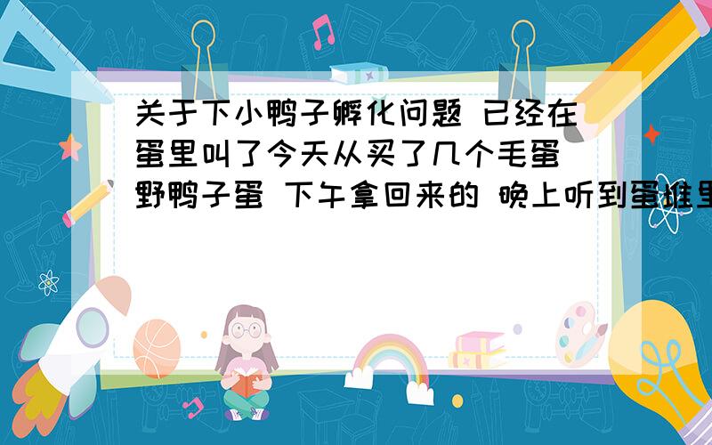 关于下小鸭子孵化问题 已经在蛋里叫了今天从买了几个毛蛋 野鸭子蛋 下午拿回来的 晚上听到蛋堆里小鸭子的叫声 并找出了蛋 它还能孵化出来吗 需要什么条件 急