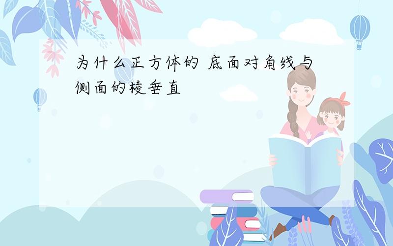 为什么正方体的 底面对角线与侧面的棱垂直