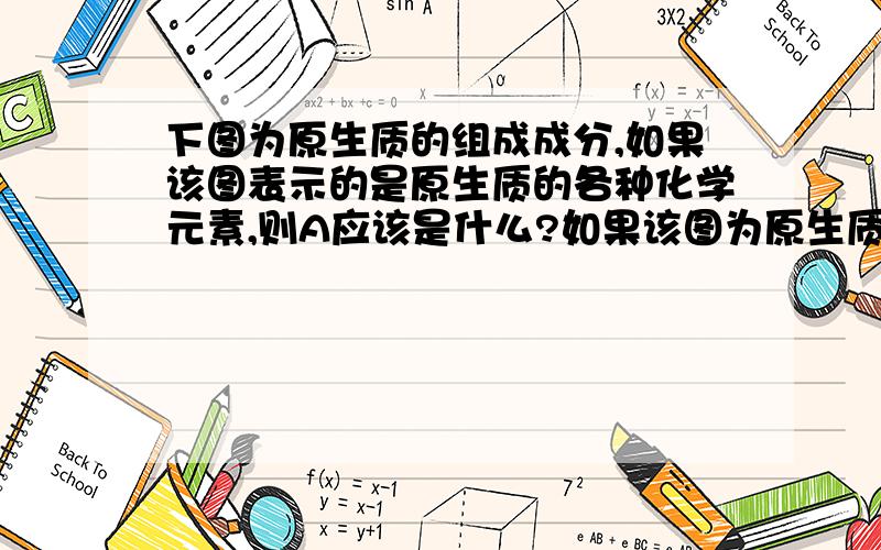 下图为原生质的组成成分,如果该图表示的是原生质的各种化学元素,则A应该是什么?如果该图为原生质的化合物,则A应该是什么?如果该图是已经完全脱水后原生质的化合物,则A应该是什么?（