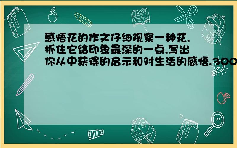 感悟花的作文仔细观察一种花,抓住它给印象最深的一点,写出你从中获得的启示和对生活的感悟.300字左右!~~急啊!~~帮帮忙,偶的作文不好滴说!~~