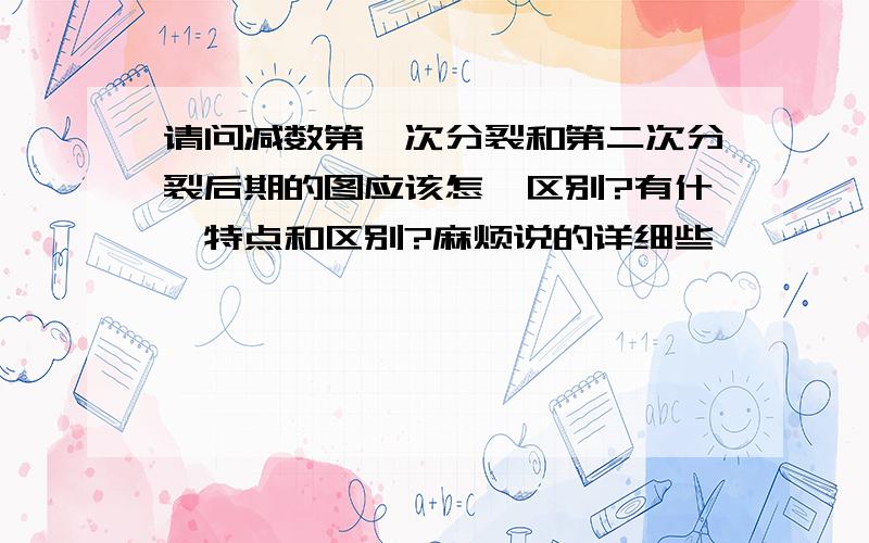 请问减数第一次分裂和第二次分裂后期的图应该怎麼区别?有什麼特点和区别?麻烦说的详细些,