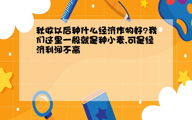 秋收以后种什么经济作物好?我们这里一般就是种小麦,可是经济利润不高