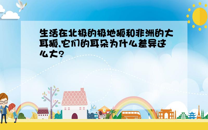 生活在北极的极地狐和非洲的大耳狐,它们的耳朵为什么差异这么大?