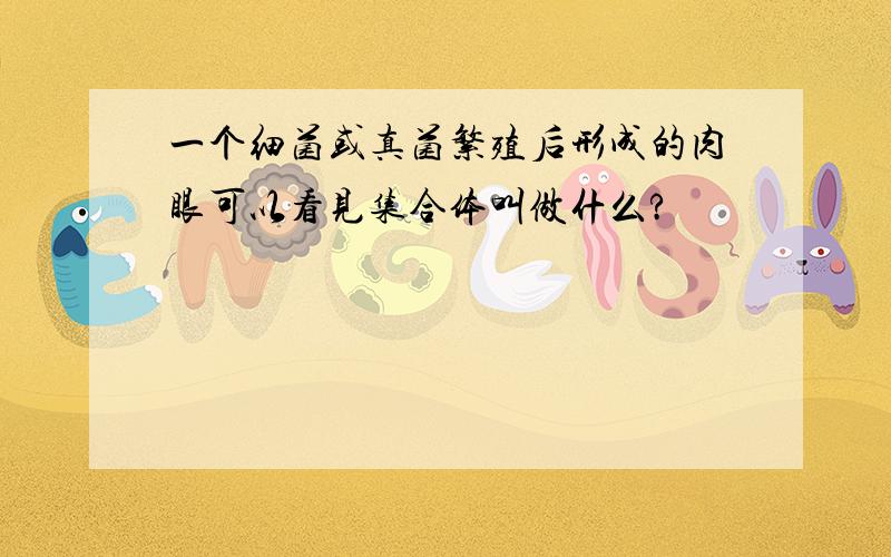 一个细菌或真菌繁殖后形成的肉眼可以看见集合体叫做什么?