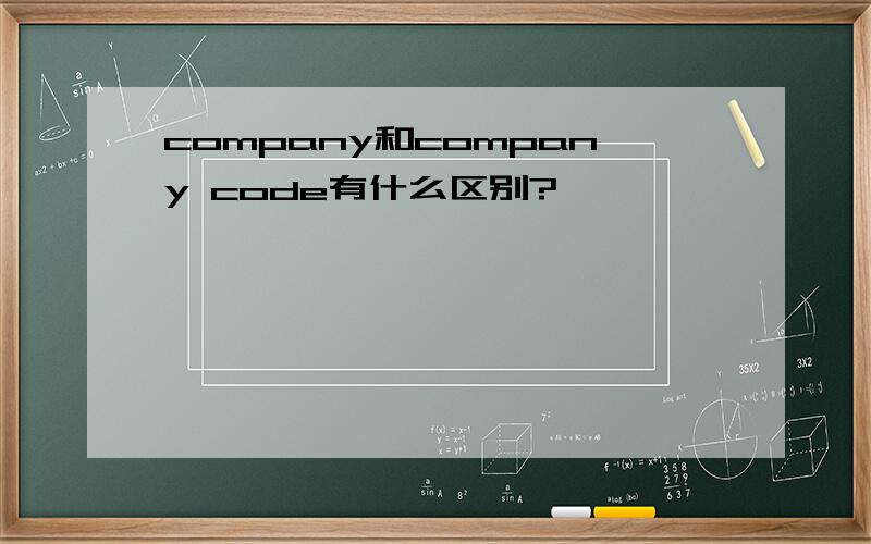 company和company code有什么区别?