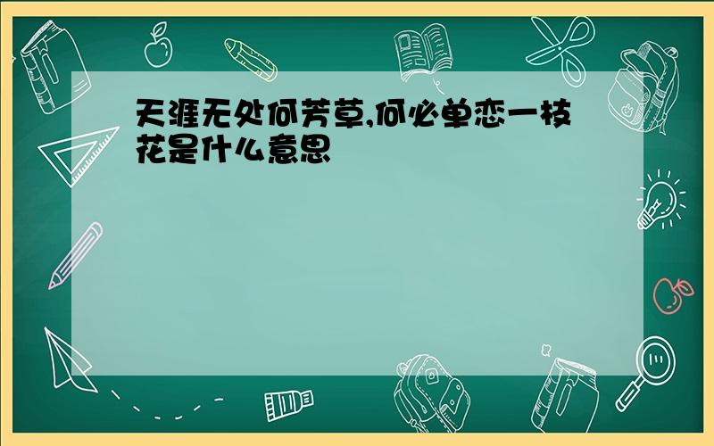 天涯无处何芳草,何必单恋一枝花是什么意思