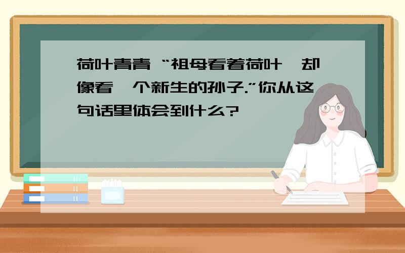 荷叶青青 “祖母看着荷叶,却像看一个新生的孙子.”你从这句话里体会到什么?