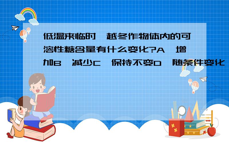 低温来临时,越冬作物体内的可溶性糖含量有什么变化?A、增加B、减少C、保持不变D、随条件变化