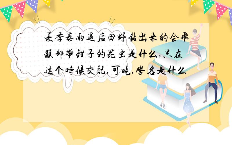 夏季暴雨过后田野钻出来的会飞头部带钳子的昆虫是什么,只在这个时候交配,可吃,学名是什么