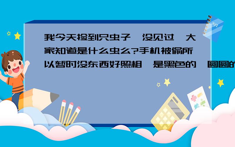 我今天捡到只虫子,没见过,大家知道是什么虫么?手机被偷所以暂时没东西好照相,是黑色的,圆圆的,甲虫,力气很大,头部是扇形的,活动的时候头那里还会伸出两根触角.大家知道是啥么?