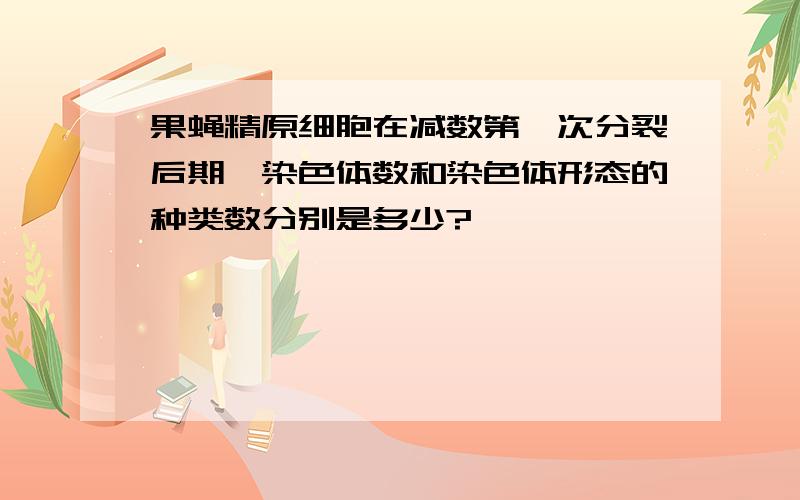 果蝇精原细胞在减数第一次分裂后期,染色体数和染色体形态的种类数分别是多少?