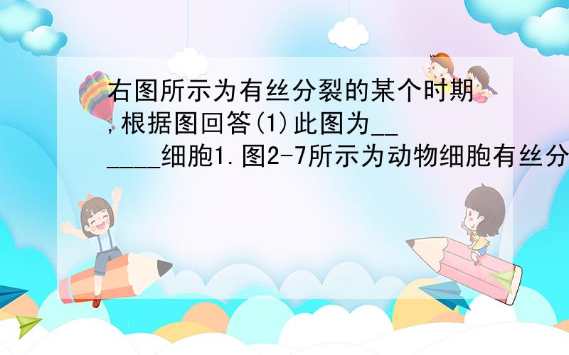 右图所示为有丝分裂的某个时期,根据图回答(1)此图为______细胞1.图2-7所示为动物细胞有丝分裂的某个时期,根据图回答：  图2-7 （1）此细胞有________条染色体、______条染色单体、________个DNA分