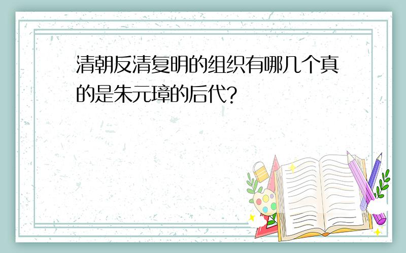 清朝反清复明的组织有哪几个真的是朱元璋的后代?