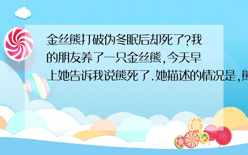 金丝熊打破伪冬眠后却死了?我的朋友养了一只金丝熊,今天早上她告诉我说熊死了.她描述的情况是,熊伪冬眠了,然后她帮熊取暖喂东西,然后熊醒来了,开始喝水,但是过了一段时间,熊却把之前