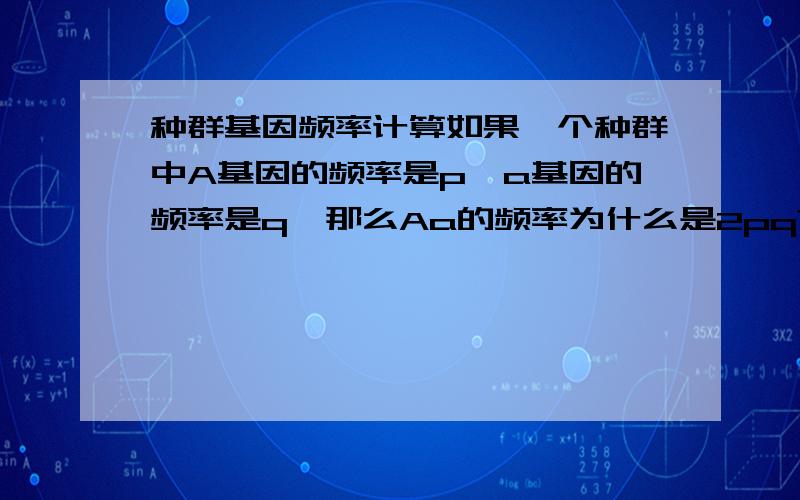 种群基因频率计算如果一个种群中A基因的频率是p,a基因的频率是q,那么Aa的频率为什么是2pq?而不是pq?求理论推导过程